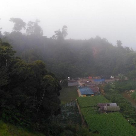 فندق ذا باينز Kampung Kuala Terla المظهر الخارجي الصورة