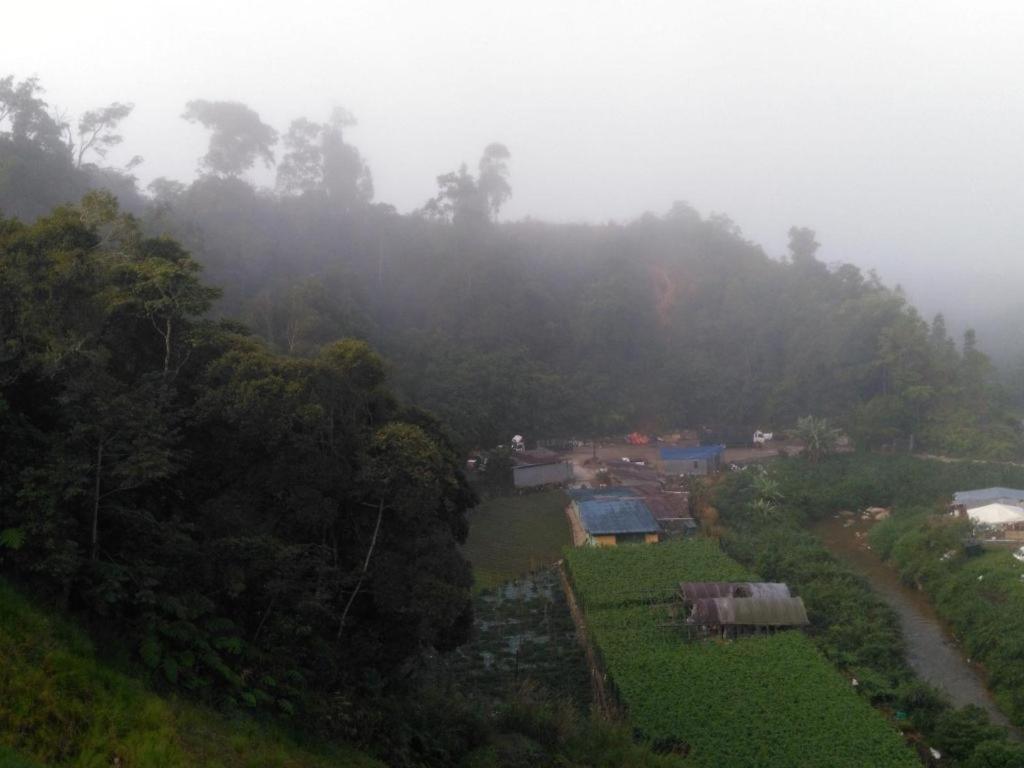 فندق ذا باينز Kampung Kuala Terla المظهر الخارجي الصورة