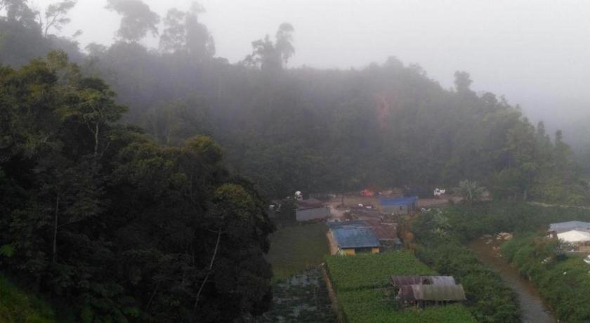 فندق ذا باينز Kampung Kuala Terla المظهر الخارجي الصورة