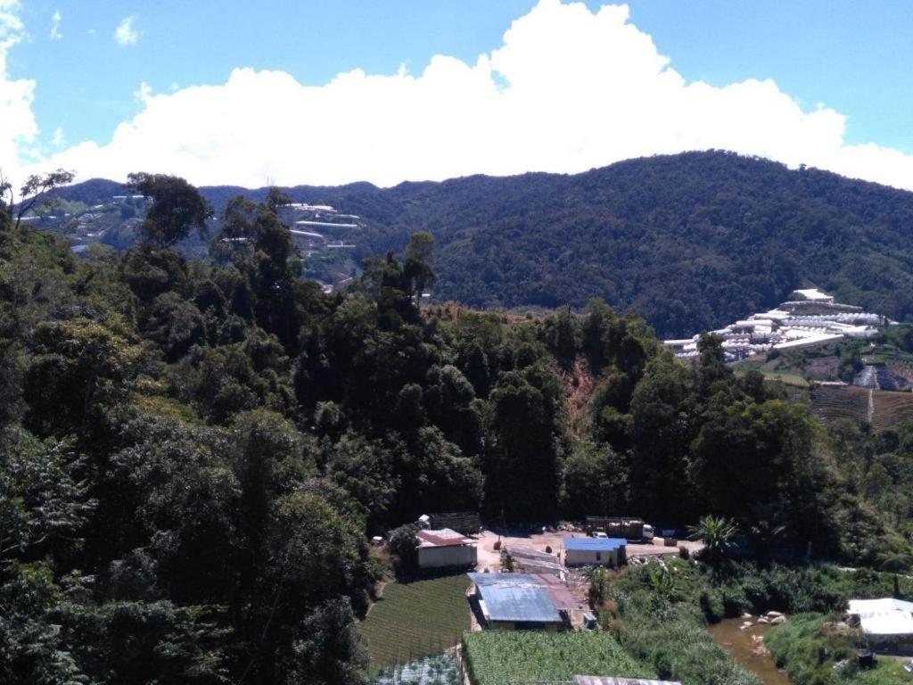 فندق ذا باينز Kampung Kuala Terla المظهر الخارجي الصورة