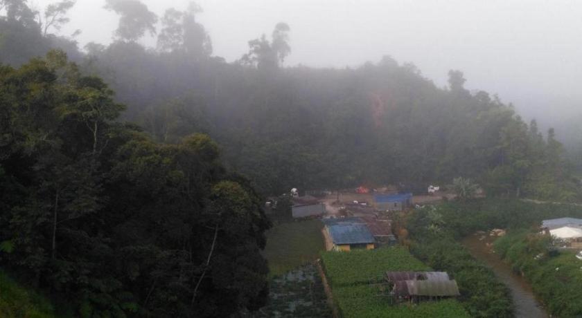 فندق ذا باينز Kampung Kuala Terla المظهر الخارجي الصورة